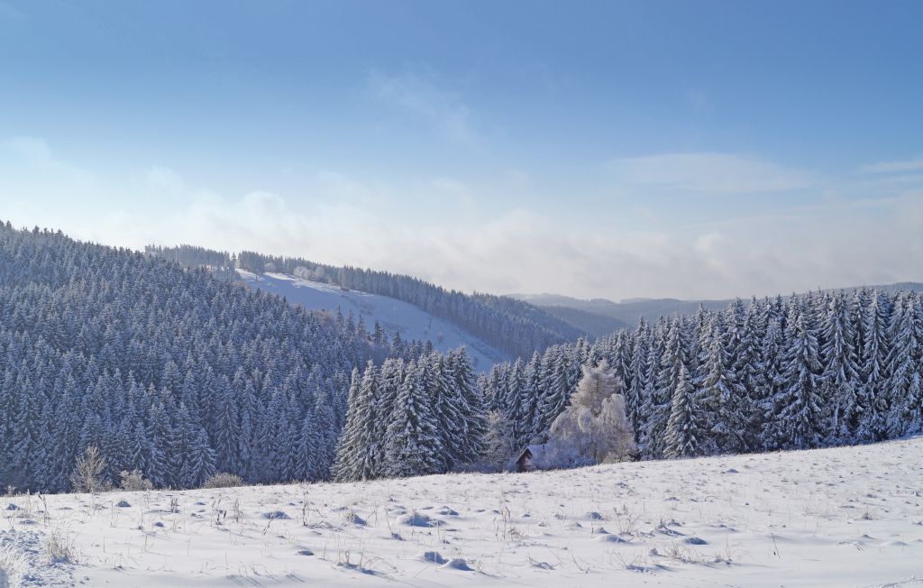 Feriehus - St.Andreasberg/Oberharz , Tyskland - DAN901 26