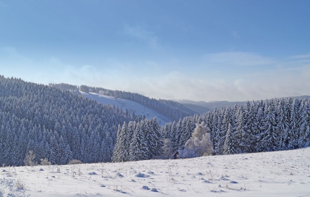 Feriehus - St.Andreasberg/Oberharz , Tyskland - DAN902 23