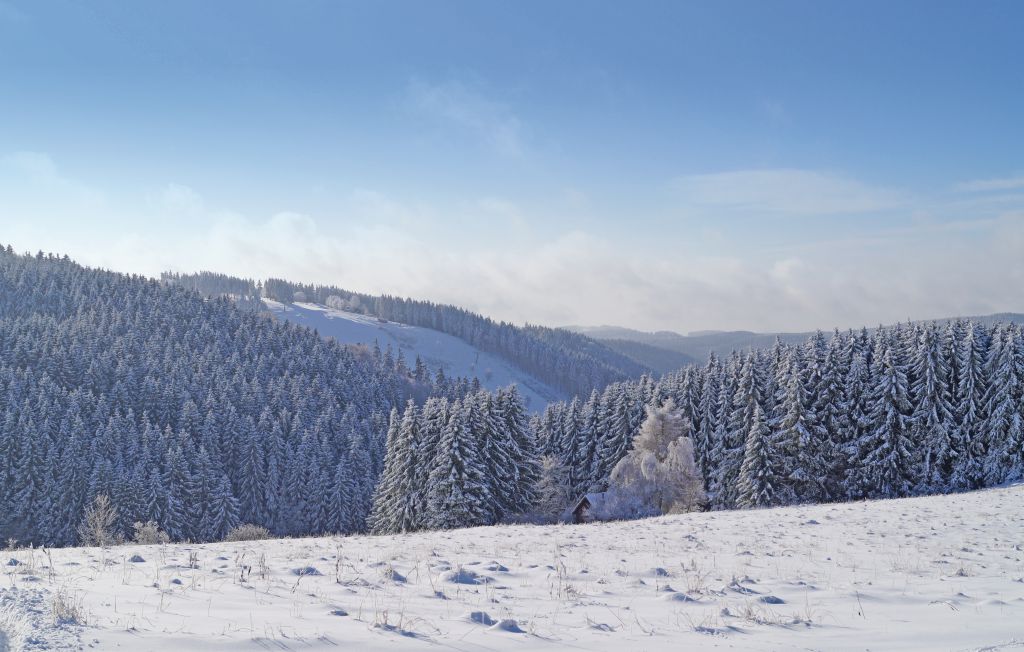 Ferienhaus - St.Andreasberg/Oberharz , Deutschland - DAN950 4