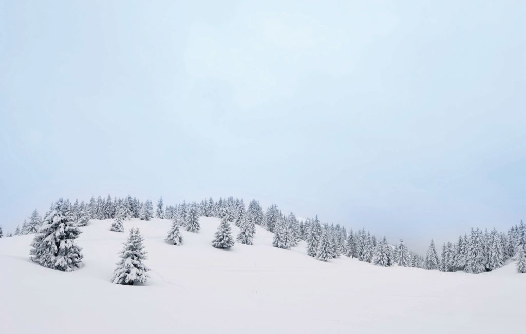 Location de vacances - St.Andreasberg/Oberharz , Allemagne - DAN946 19