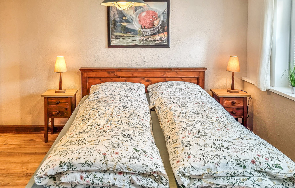 Ferieleilighet - St. Andreasberg , Tyskland - DAN269 9