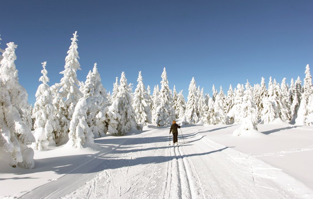 Feriehus - St.Andreasberg/Oberharz , Tyskland - DAN918 42