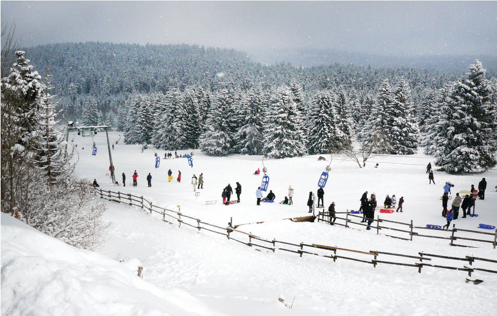 Semesterhus - Osterode , Tyskland - DAN252 22