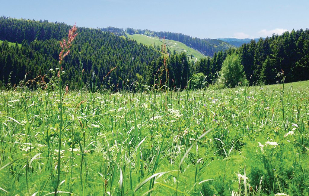 Feriehus - St.Andreasberg/Oberharz , Tyskland - DAN925 4