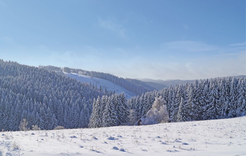 Feriehus - St.Andreasberg/Oberharz , Tyskland - DAN926 19