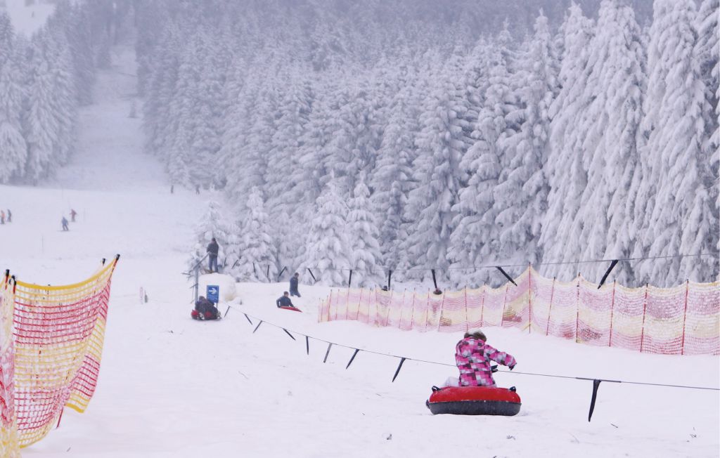Feriehuse - St.Andreasberg/Oberharz , Tyskland - DAN931 33