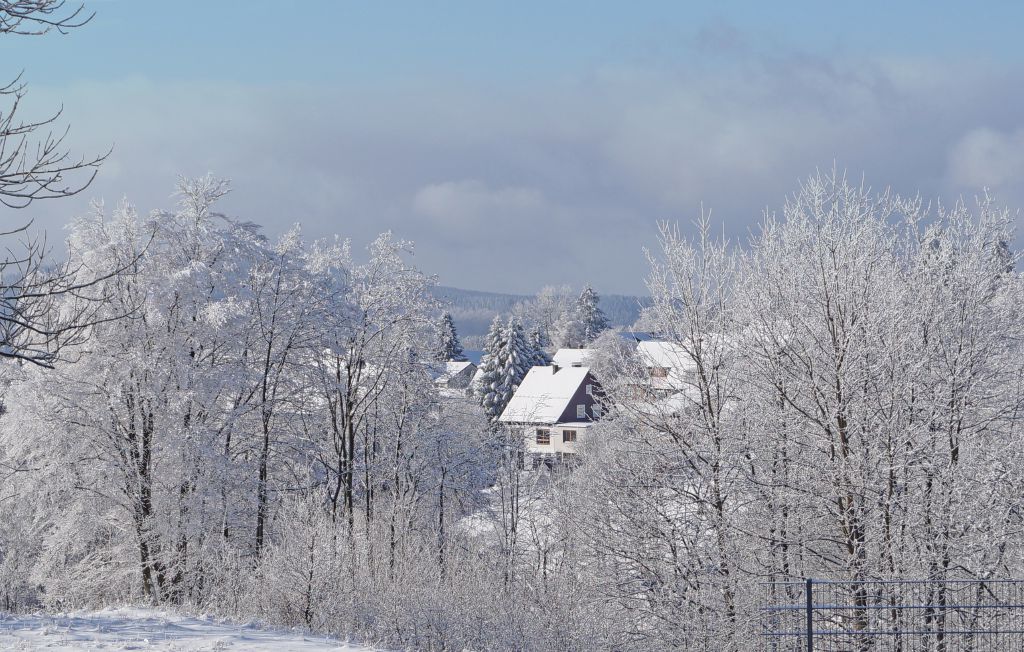Feriehus - St.Andreasberg/Oberharz , Tyskland - DAN901 25