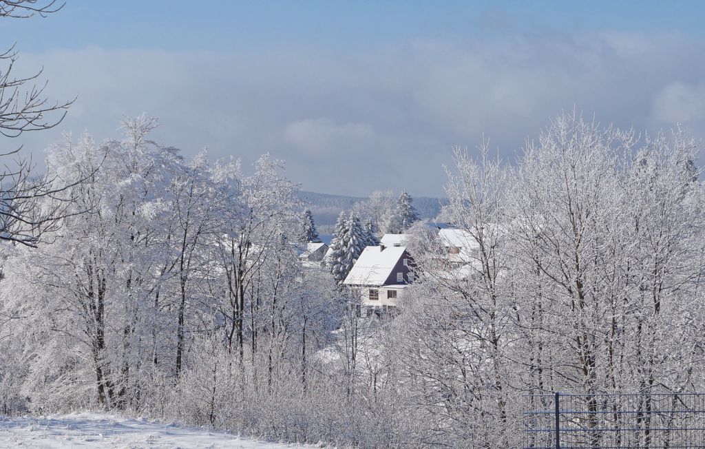 Feriehus - St.Andreasberg/Oberharz , Tyskland - DAN902 22