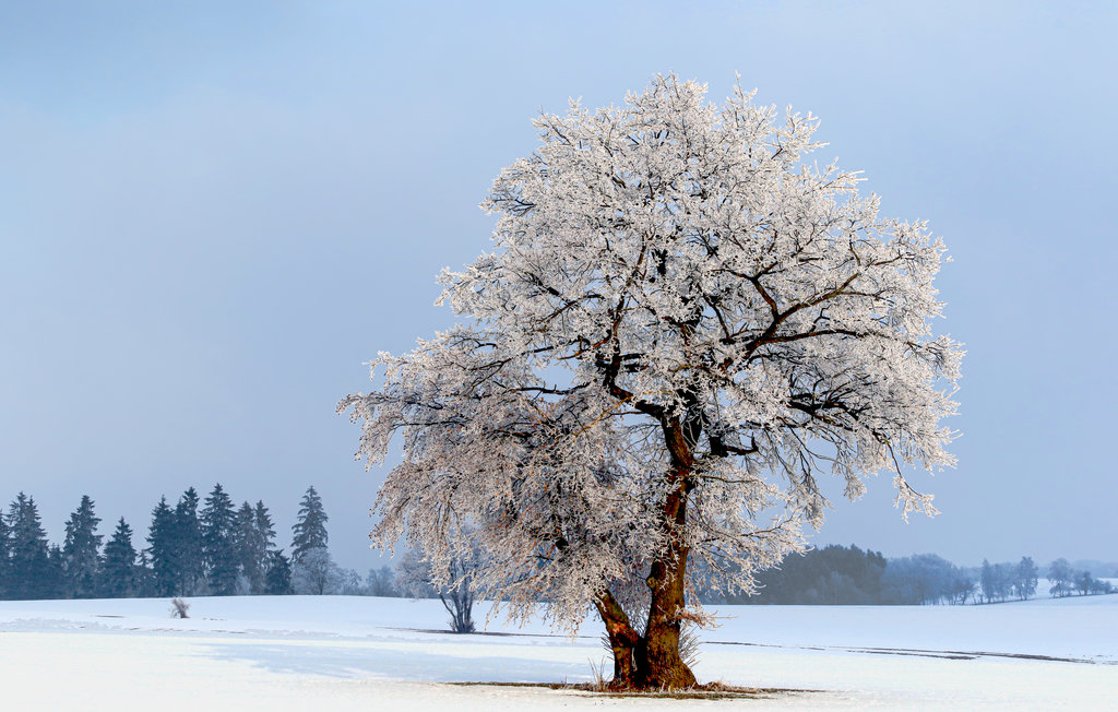 Feriehus - St.Andreasberg/Oberharz , Tyskland - DAN902 29