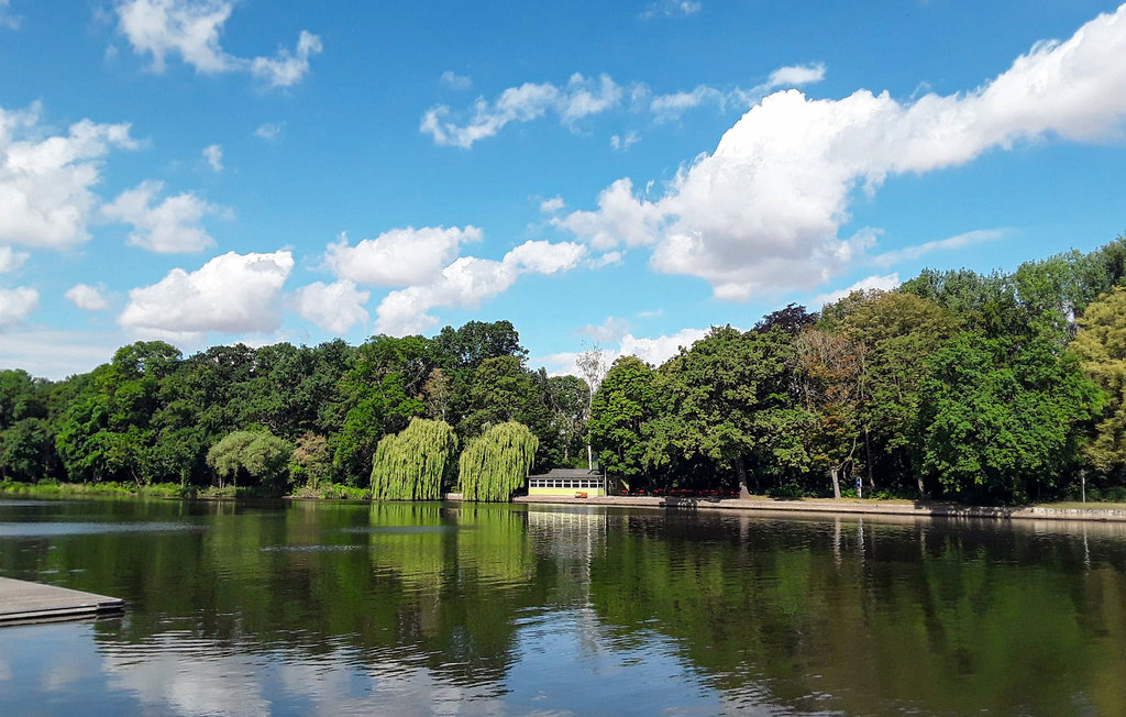Ferienwohnung - Bernburg , Deutschland - DAN254 16