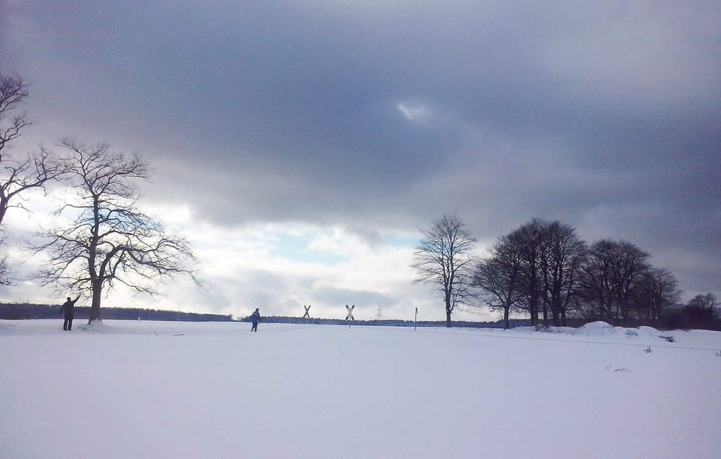 Feriehus - Ortsteil Stiege , Tyskland - DAN138 14