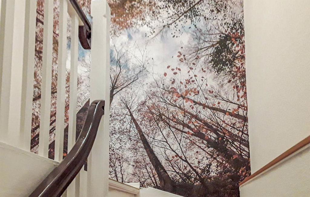 Ferienwohnung - Bernburg , Deutschland - DAN254 10