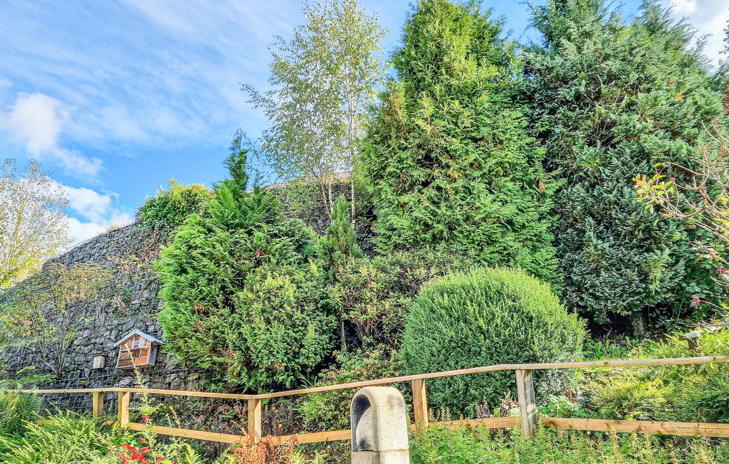 Ferieleilighet - St. Andreasberg , Tyskland - DAN269 2