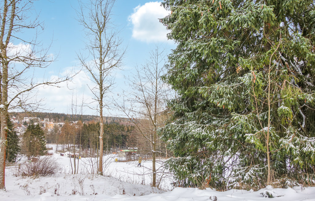 Lejlighed - Hahnenklee - Goslar , Tyskland - DAN270 10