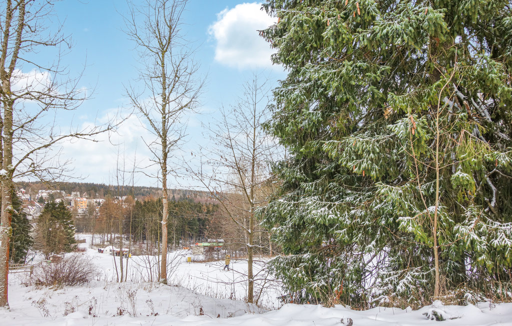 Lejlighed - Hahnenklee - Goslar , Tyskland - DAN271 17