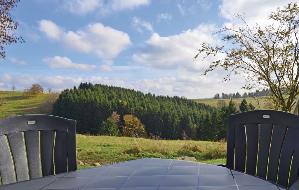 Feriehus - St.Andreasberg/Oberharz , Tyskland - DAN940 9