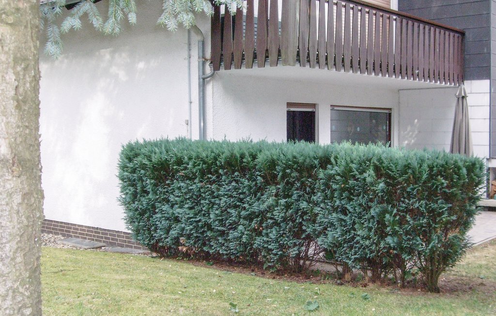 Lejlighed - Goslar Hahnenklee , Tyskland - DAN167 5