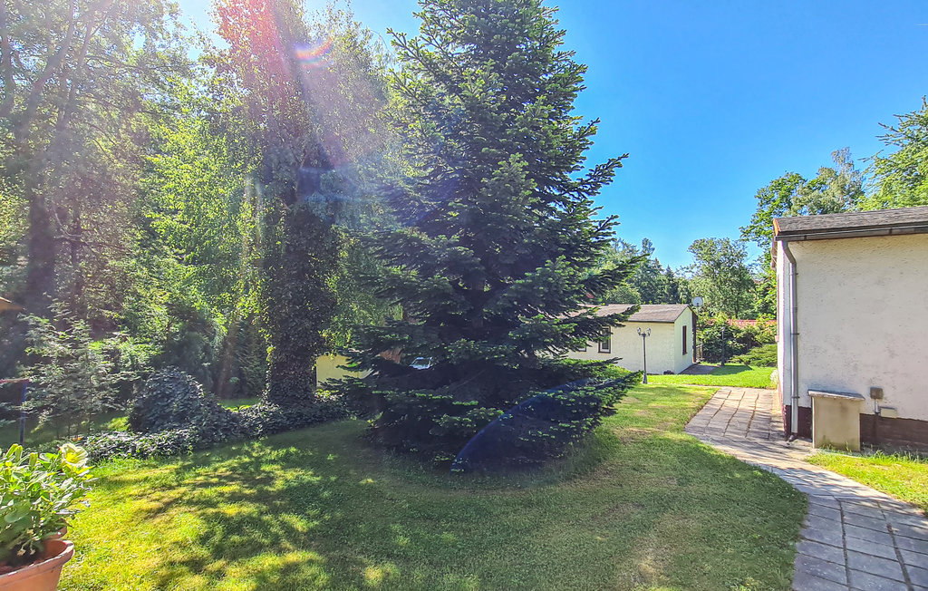 Feriehuse - Harzgerode OT Dankerode , Tyskland - DAN257 13