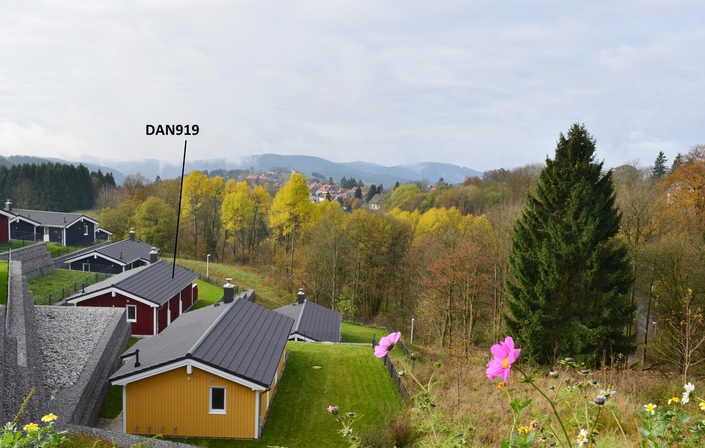 Feriehus - St.Andreasberg/Oberharz , Tyskland - DAN919 8