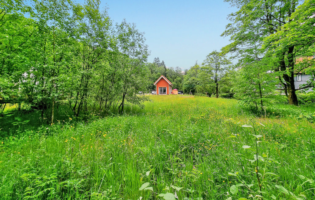 Ferienhaus - Wildemann , Deutschland - DAN291 7