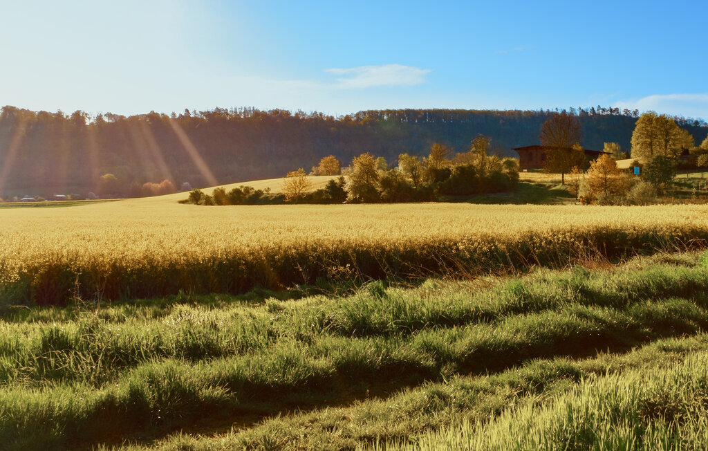 Ferienwohnung - Nebra OT Wangen , Deutschland - DAN281 13