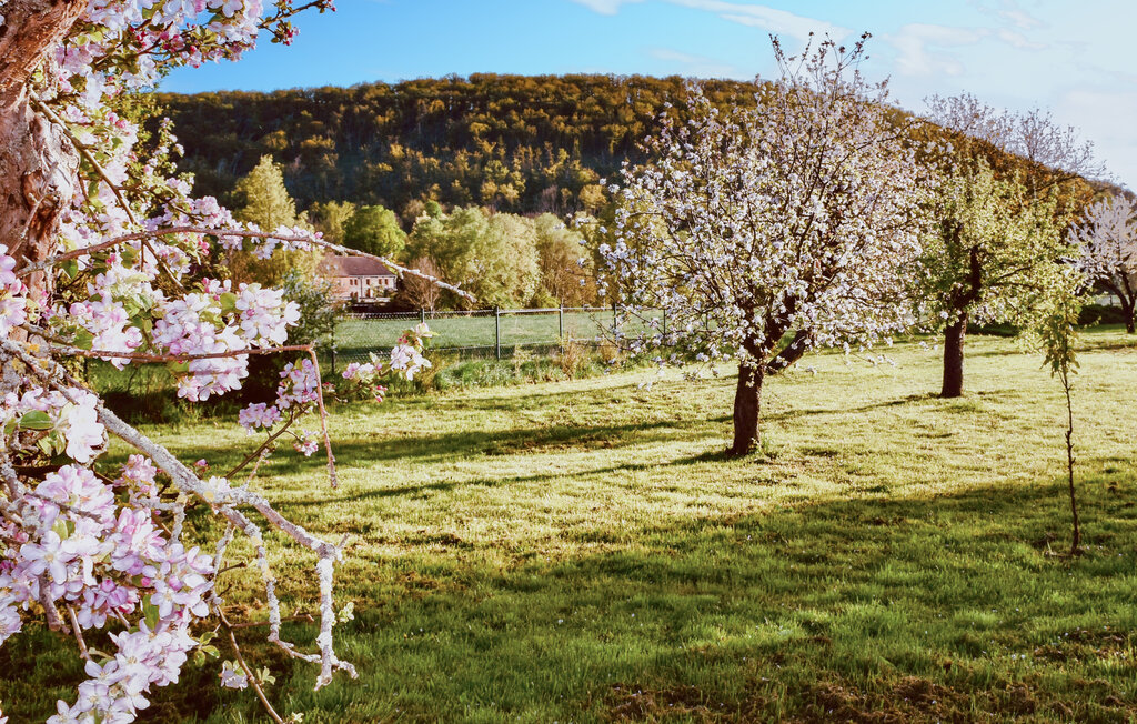 Ferienwohnung - Nebra OT Wangen , Deutschland - DAN281 14