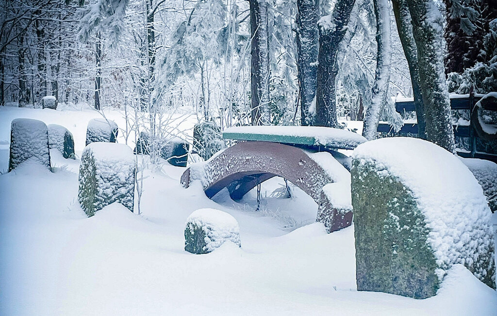 Feriehuse - Harzgerode , Tyskland - DAN298 20