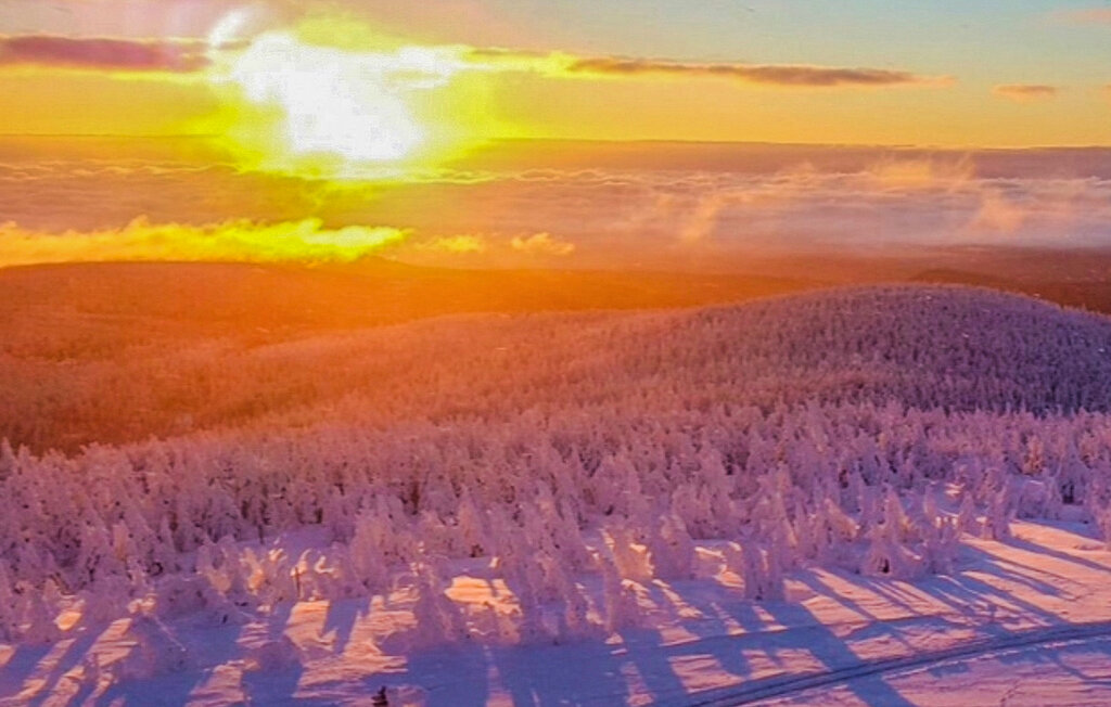 Feriehuse - Harzgerode , Tyskland - DAN298 21