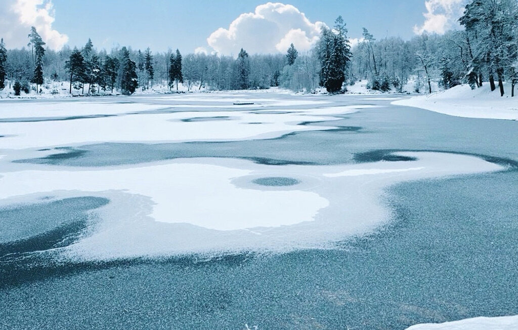 Feriehuse - Harzgerode , Tyskland - DAN298 23