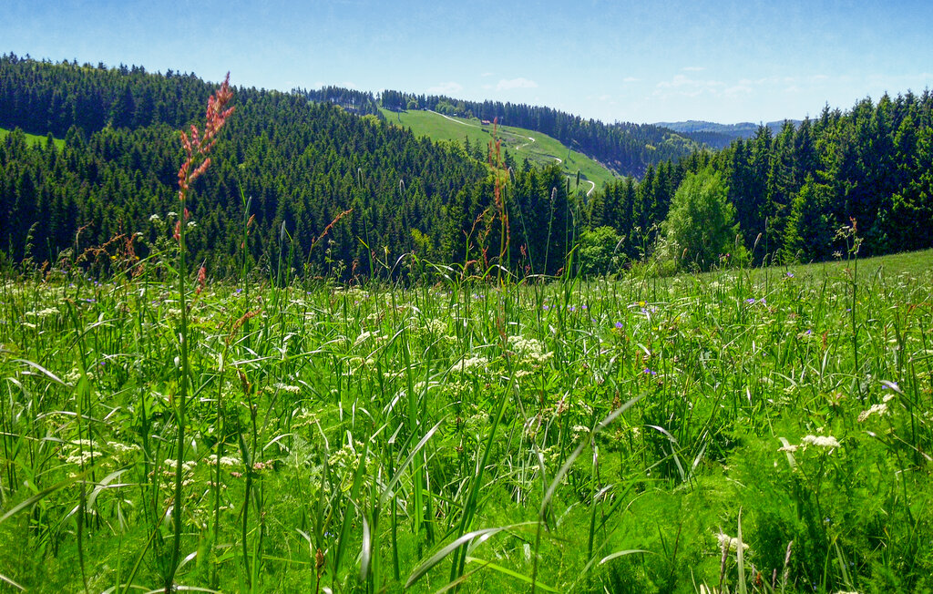 Feriehus - Hasselfelde im Harz , Tyskland - DAN405 22