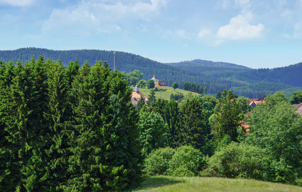 Semesterhus - Hasselfelde im Harz , Tyskland - DAN417 14