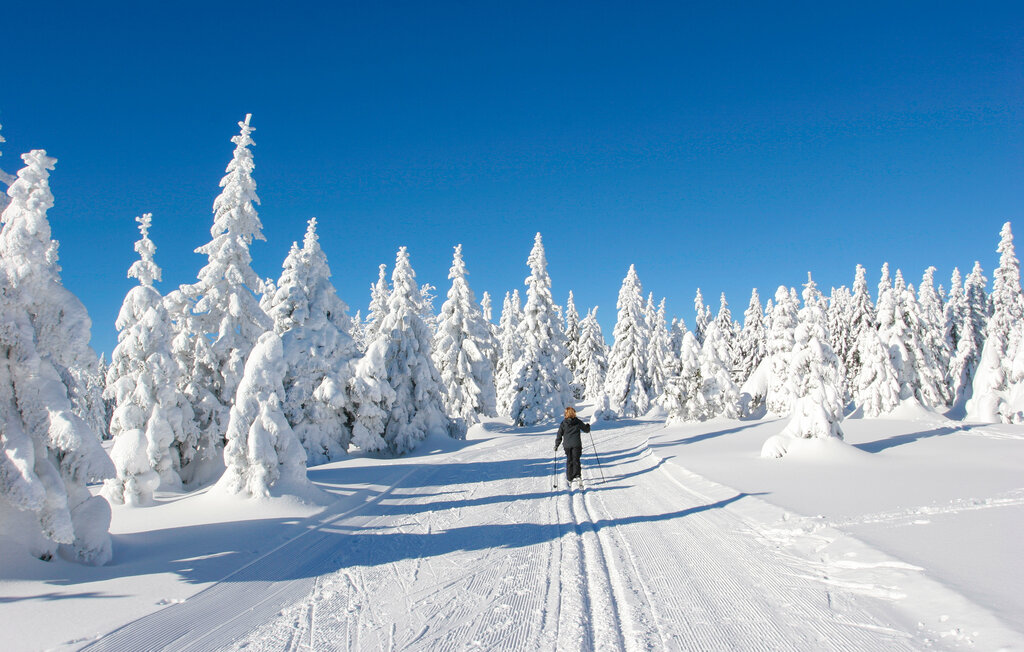 Location de vacances - Hasselfelde im Harz , Allemagne - DAN422 27