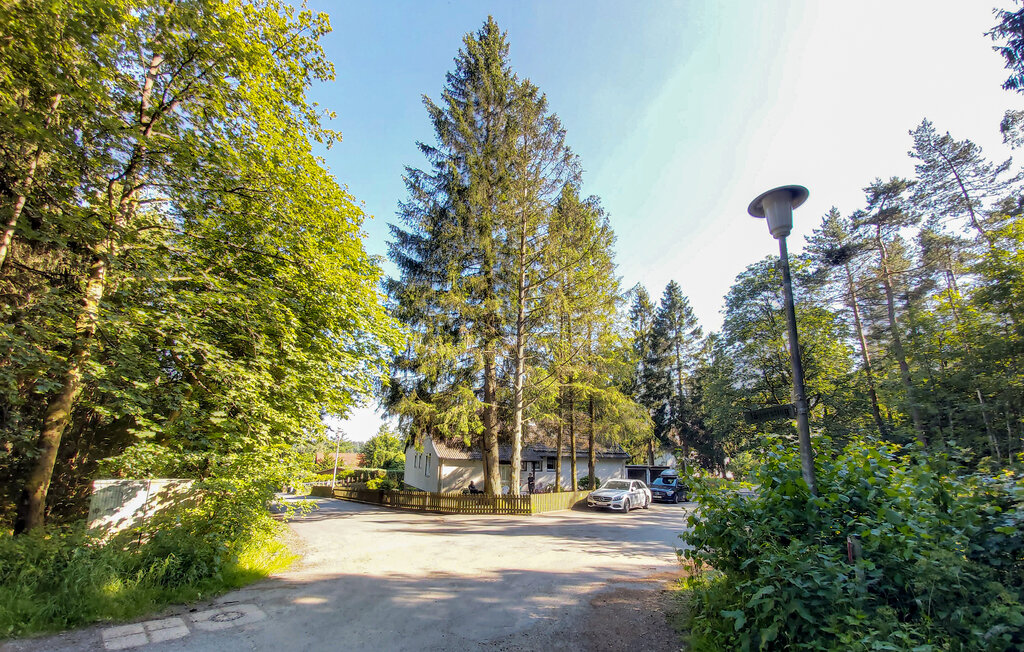 Ferieleilighet - Goslar OT Hahnenklee , Tyskland - DAN463 12