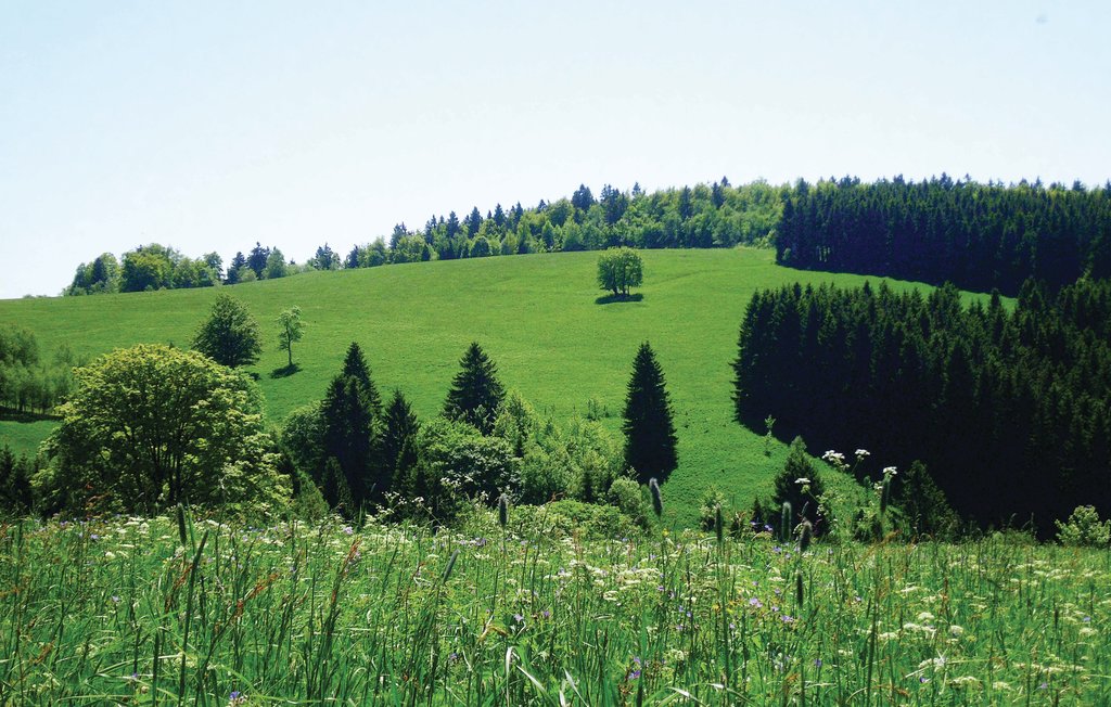 Bild 4 Bild 4