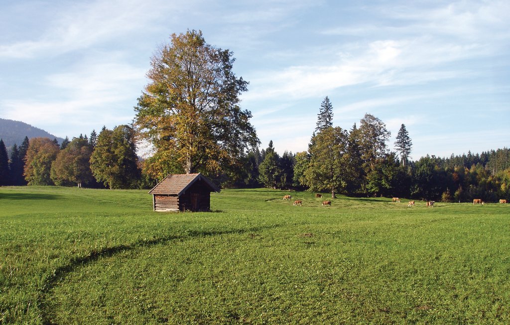 Ferienwohnung - Fischbachau , Deutschland - DBA220 28