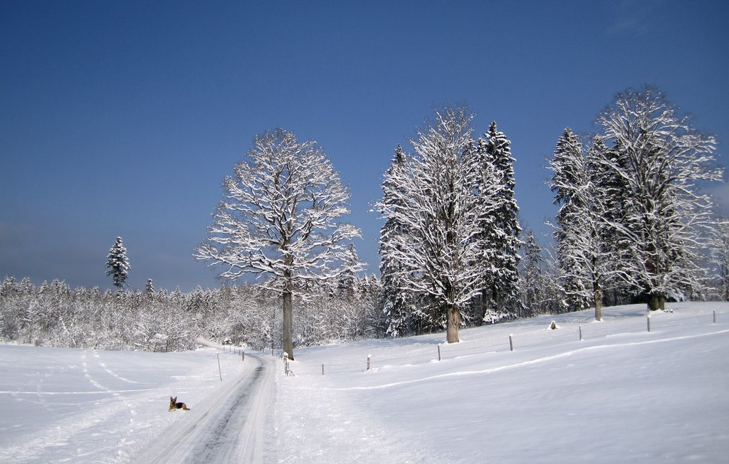 Ferienwohnung - Fischbachau , Deutschland - DBA220 31