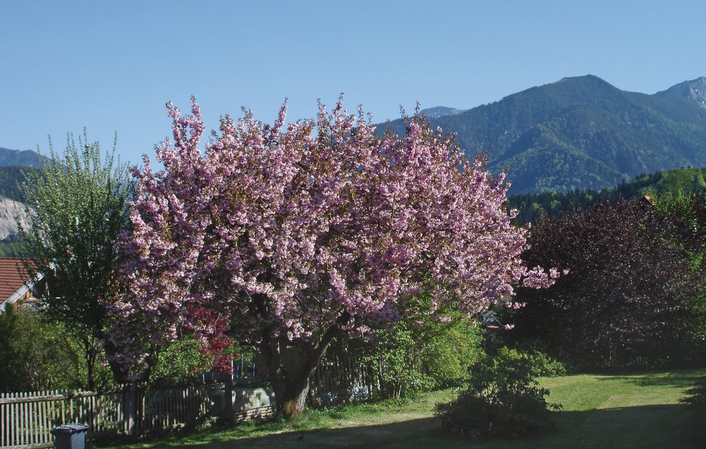 Ferienwohnung - Fischbachau , Deutschland - DBA220 27