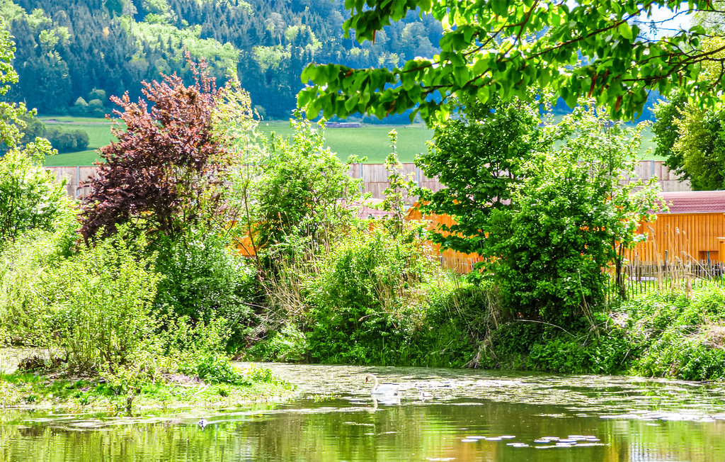 Feriehus - Beilngries im Altmühltal , Tyskland - DBA293 12