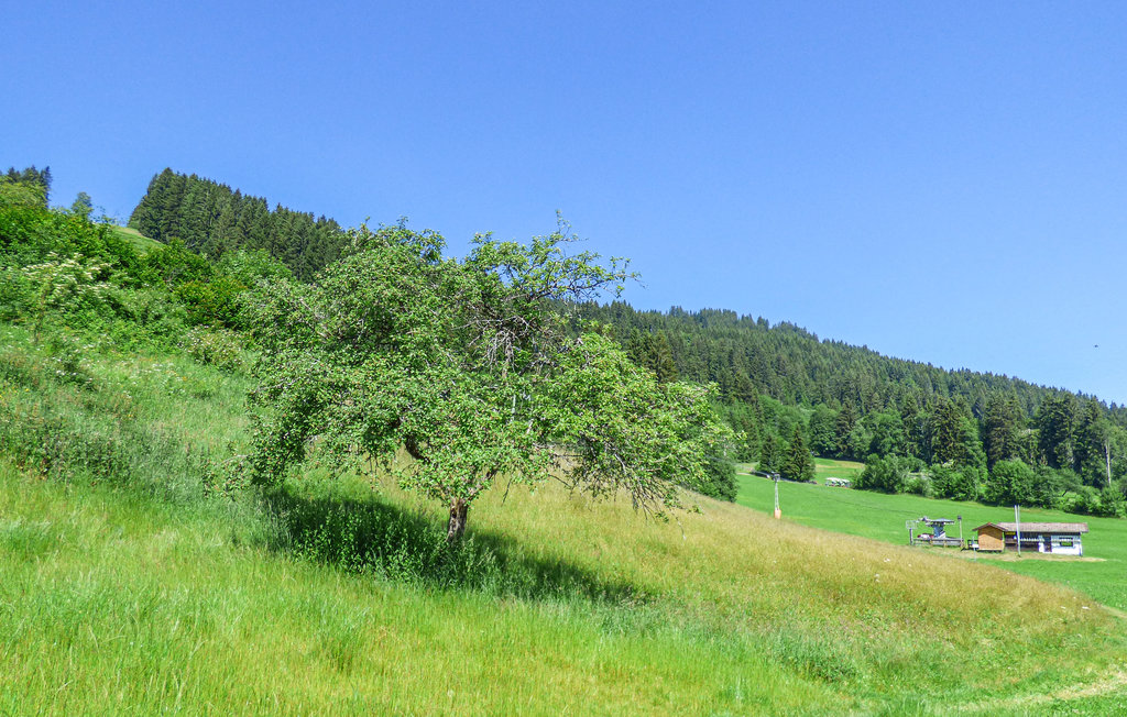 Lejlighed - Pfronten , Tyskland - DBA270 22