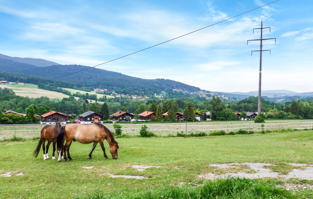 Ferieleilighet - Arrach , Tyskland - DBA269 28