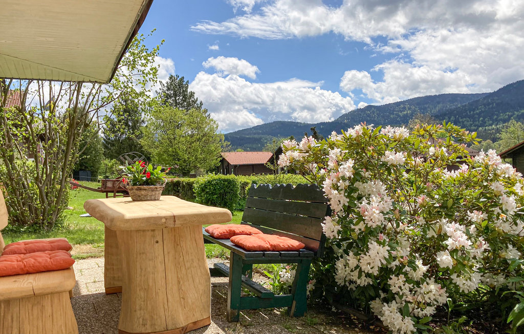 Ferieleilighet - Arrach , Tyskland - DBA252 12