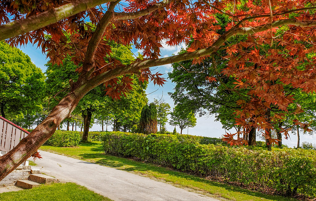 Feriehus - Untergriesbach , Tyskland - DBA353 6