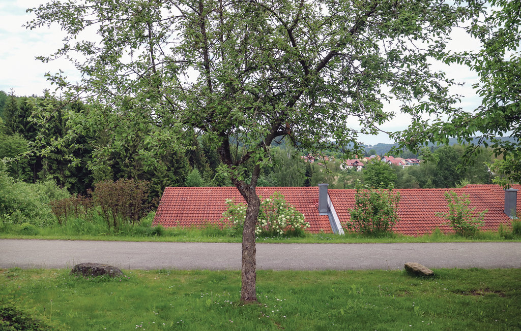 Feriehus - Falkenstein , Tyskland - DBA175 11