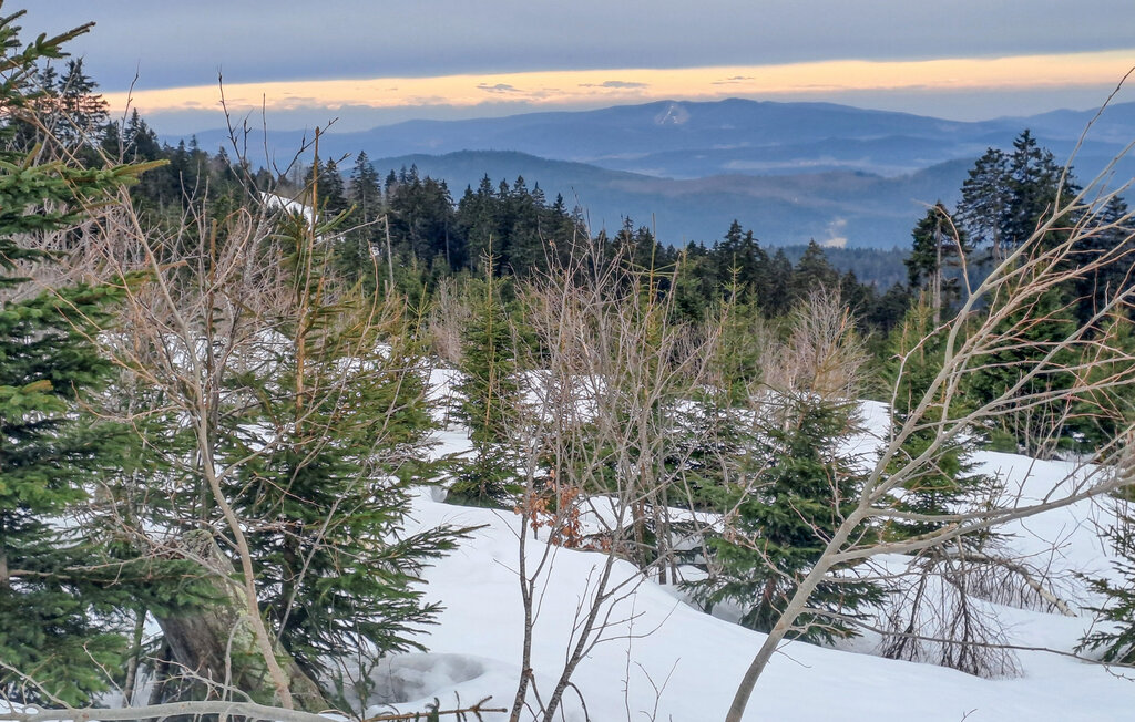 Ferienhaus - Bayerisch Eisenstein , Deutschland - DBA145 29