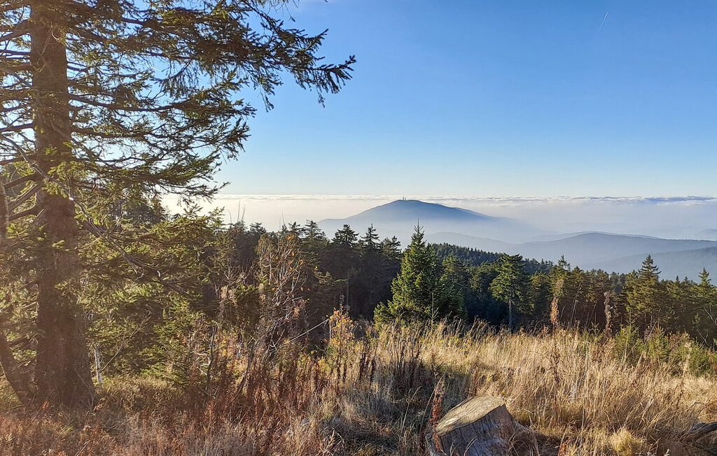 Ferienhaus - Bayerisch Eisenstein , Deutschland - DBA145 31