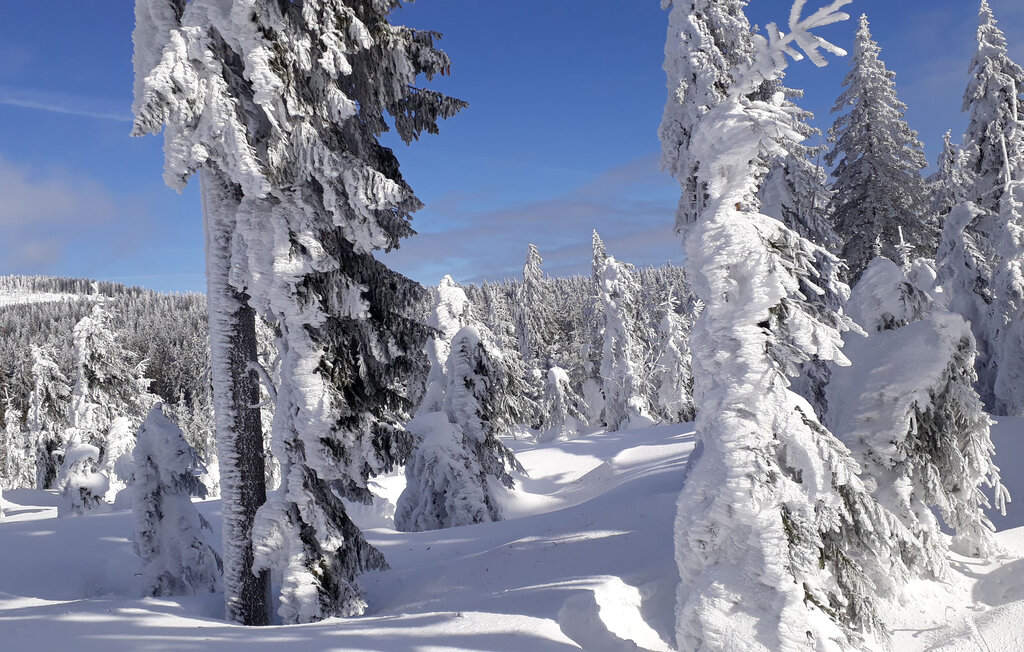 Ferienhaus - Bayerisch Eisenstein , Deutschland - DBA145 33