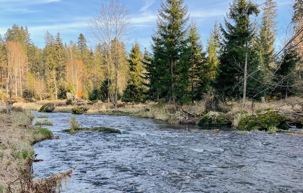 Ferienhaus - Bayerisch Eisenstein , Deutschland - DBA145 37