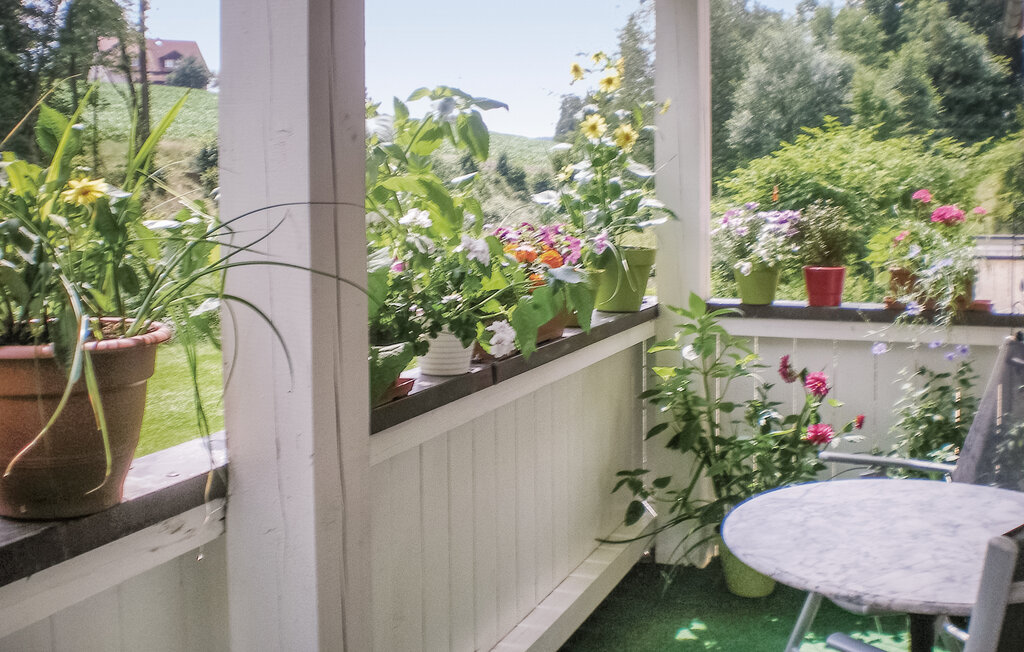 Ferieleilighet - Heinersreuth/Bayreuth , Tyskland - DBA219 6