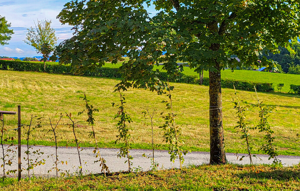 Feriehus - Untergriesbach , Tyskland - DBA353 8