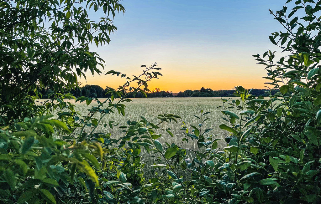 Feriehus - Hafendorf Zerpenschleuse , Tyskland - DBB451 10